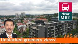 Fifteen Robin (D10), Condominium #198552402